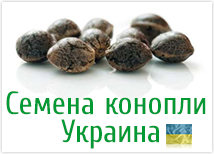 Список всех магазинов семян конопли в Украине