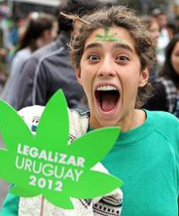 В Уругвае принят законопроект о полной легализации каннабиса