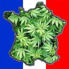 Как обстоят дела с легализацией марихуаны во Франции?