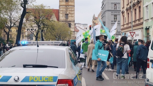 МММ 2019 в Праге: праздник борьбы за свои права